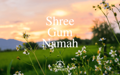 Monday Mantra~Shree Gum Namah