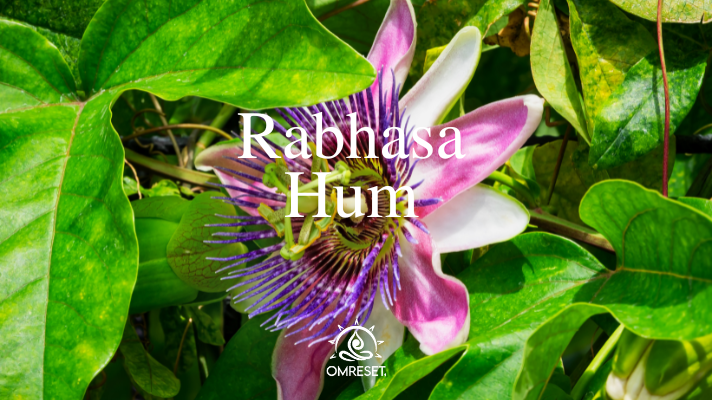 Monday Mantra ~ Rabhasa Hum