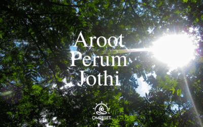 Monday Mantra ~ Aroot Perum Jothi