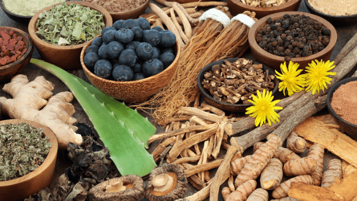 Adaptogenic Herbs of Ayurveda