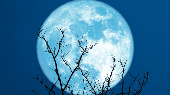 Super Blue Moon in Pisces