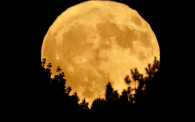 Full Moon in Aries is Bold, Loud, and Proud