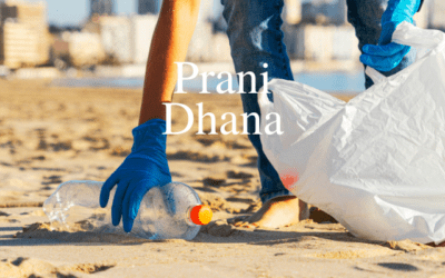 Monday Mantra ~ Prani Dhana